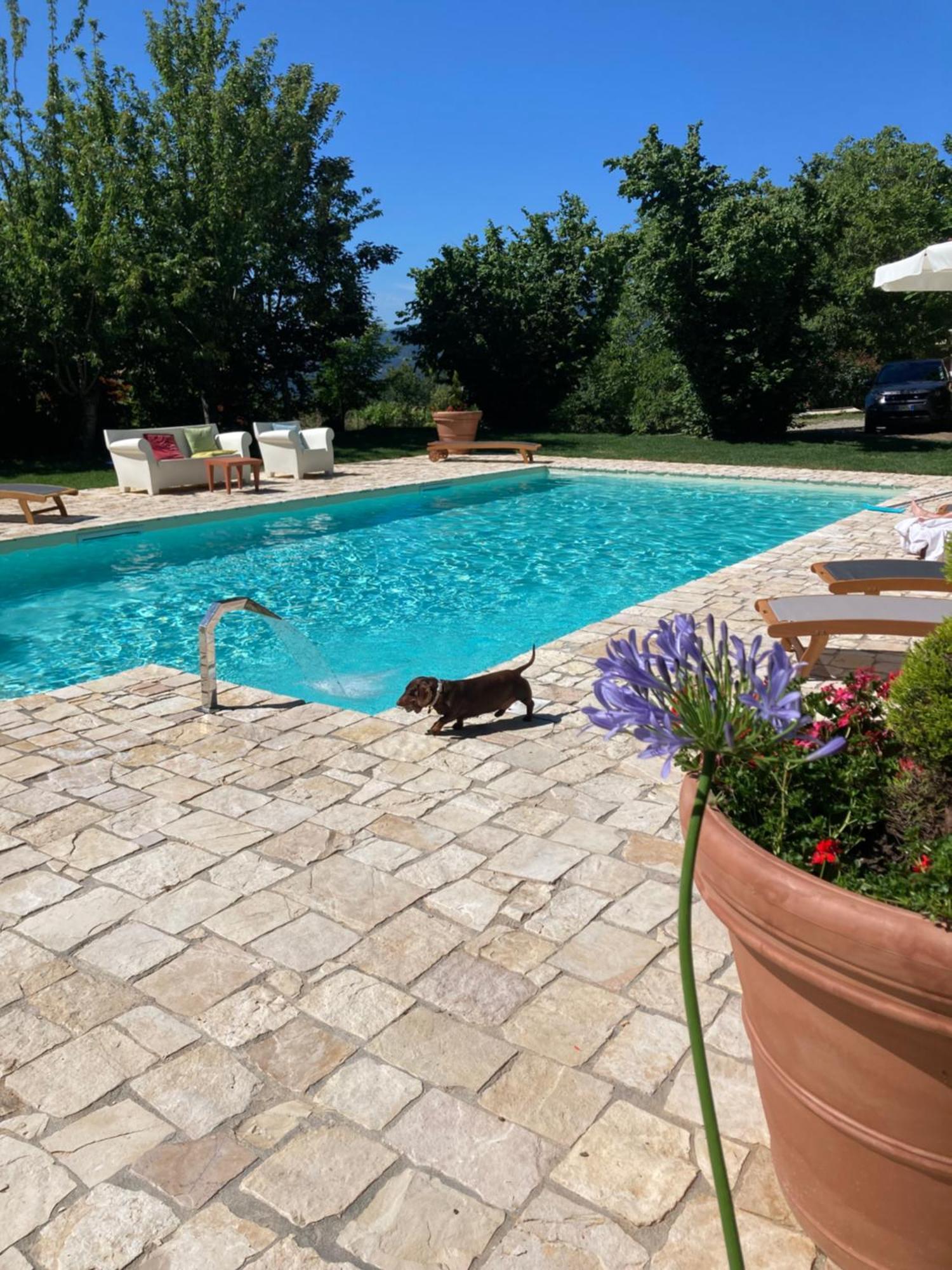 Hotel La Capannina Aritzo